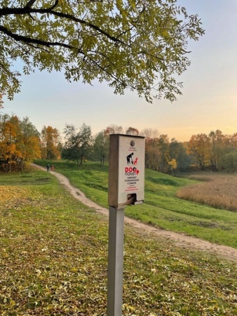 Диспенсер ДОГ-2Н БШ на стойке сильвер