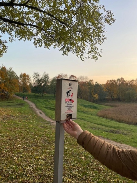 Диспенсер ДОГ-2Н БШ на стойке сильвер